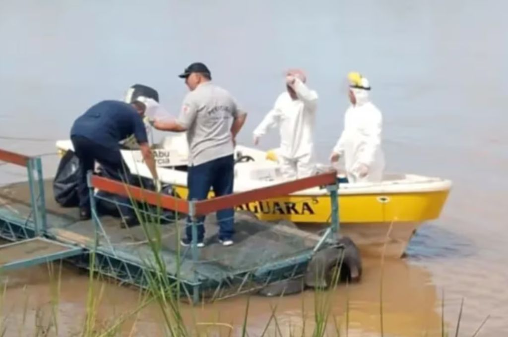Hallan sin vida a un niño de 7 años que había desaparecido en el río Paraná