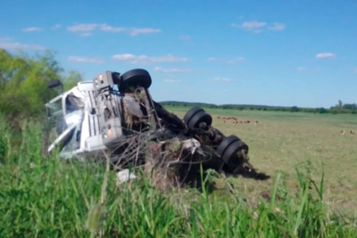 Ruta 14: un camión volcó en Pedernal y dañó la red eléctrica